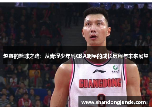 赵睿的篮球之路：从青涩少年到CBA明星的成长历程与未来展望