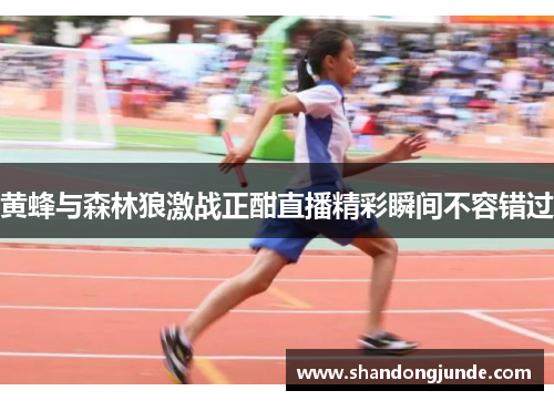 黄蜂与森林狼激战正酣直播精彩瞬间不容错过